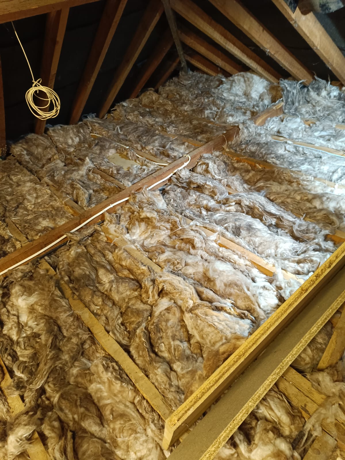 Professional services